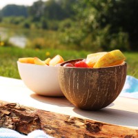 Kokosnoot kom rond (10st)