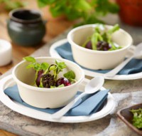 Deksel bowl eco ø170