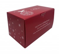 Buchedozen Kerst Pastel 2023