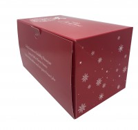 Buchedozen Kerst Pastel 2023